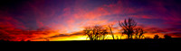 Beautiful Sunrise